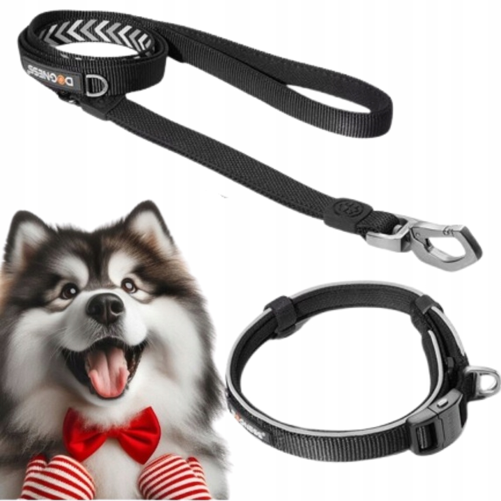 Levně Vodítko pro psa Reflexní dva úchyty M/L sada s Obojkem 45-60 cm L Dogness