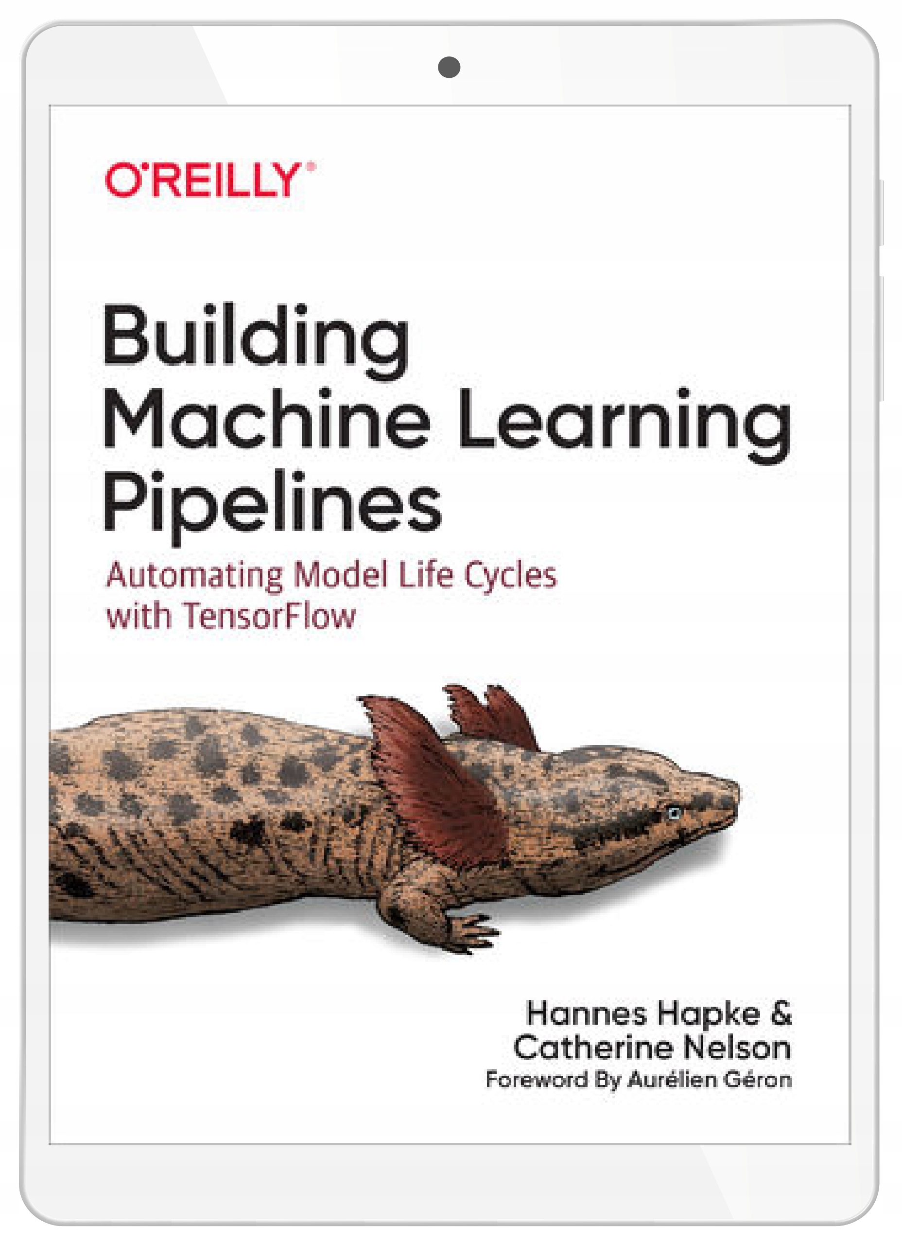 Building Machine Learning Pipelines