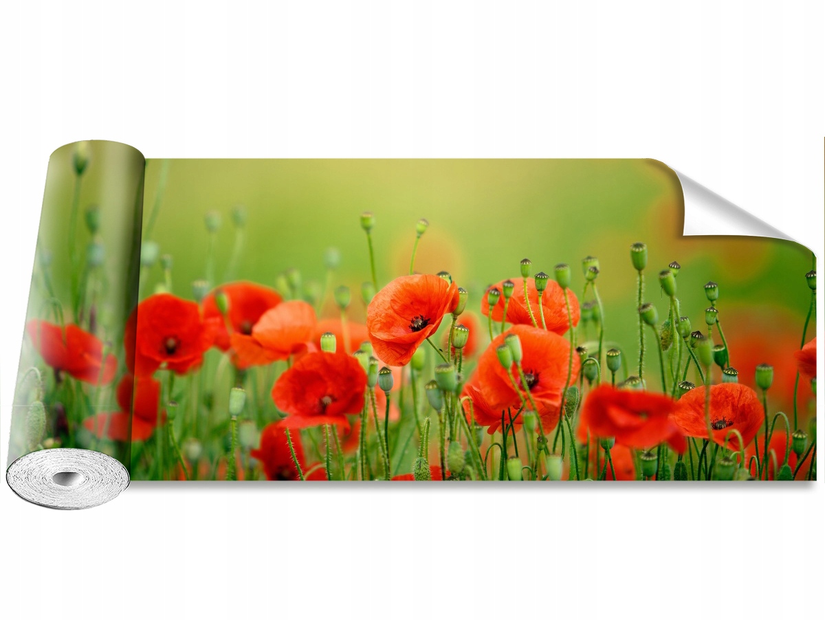 

Tapeta Samoprzylepna Kwiaty maku - 250x104