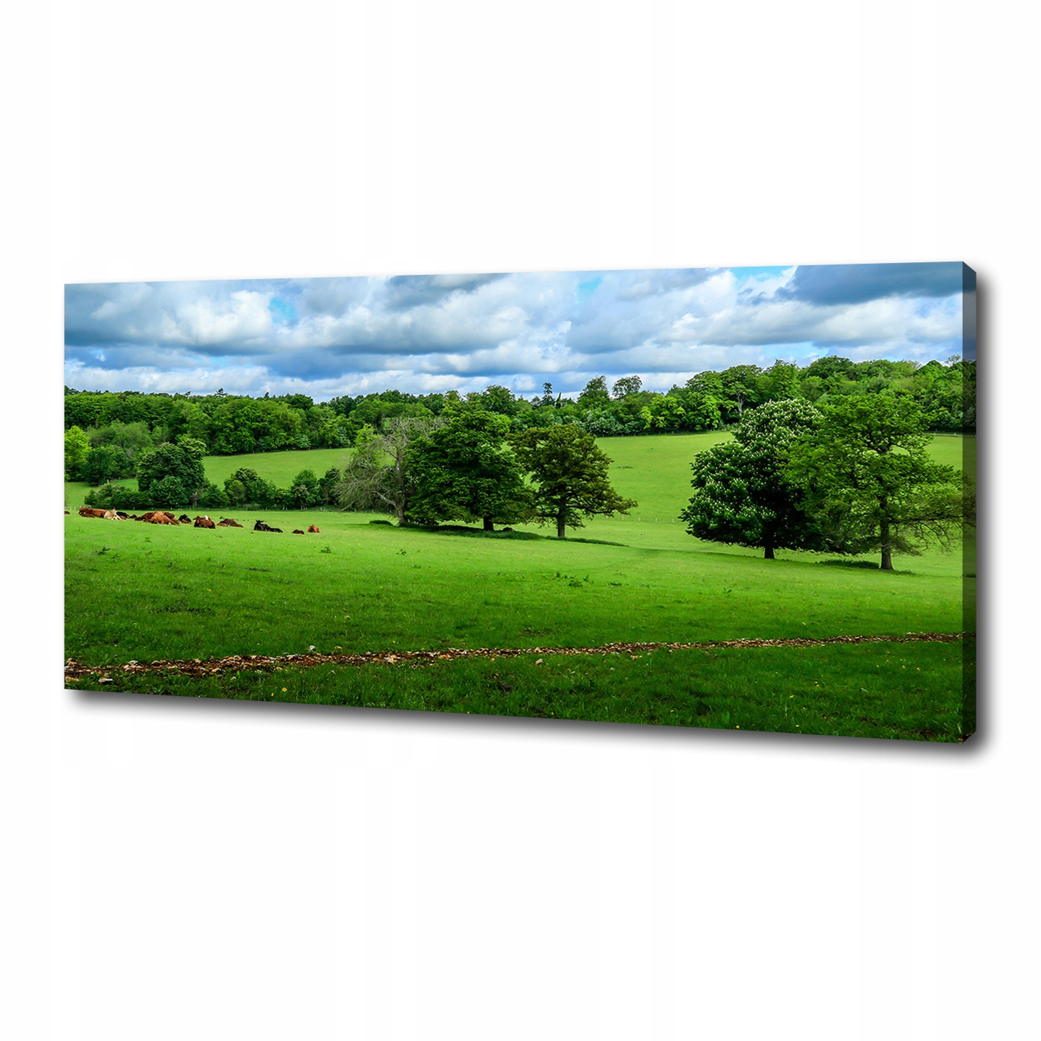

Foto obraz na płótnie Zielone wzgórza 125x50 cm