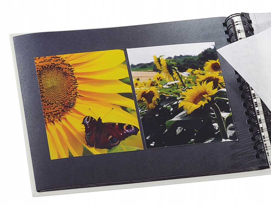 Hama ALBUM NA ZDJĘCIA WKLEJANE 100 zdjęć 10x15 cm Producent Hama