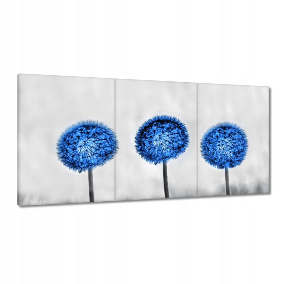 Obrazy 180x90 Modré dúchadlá