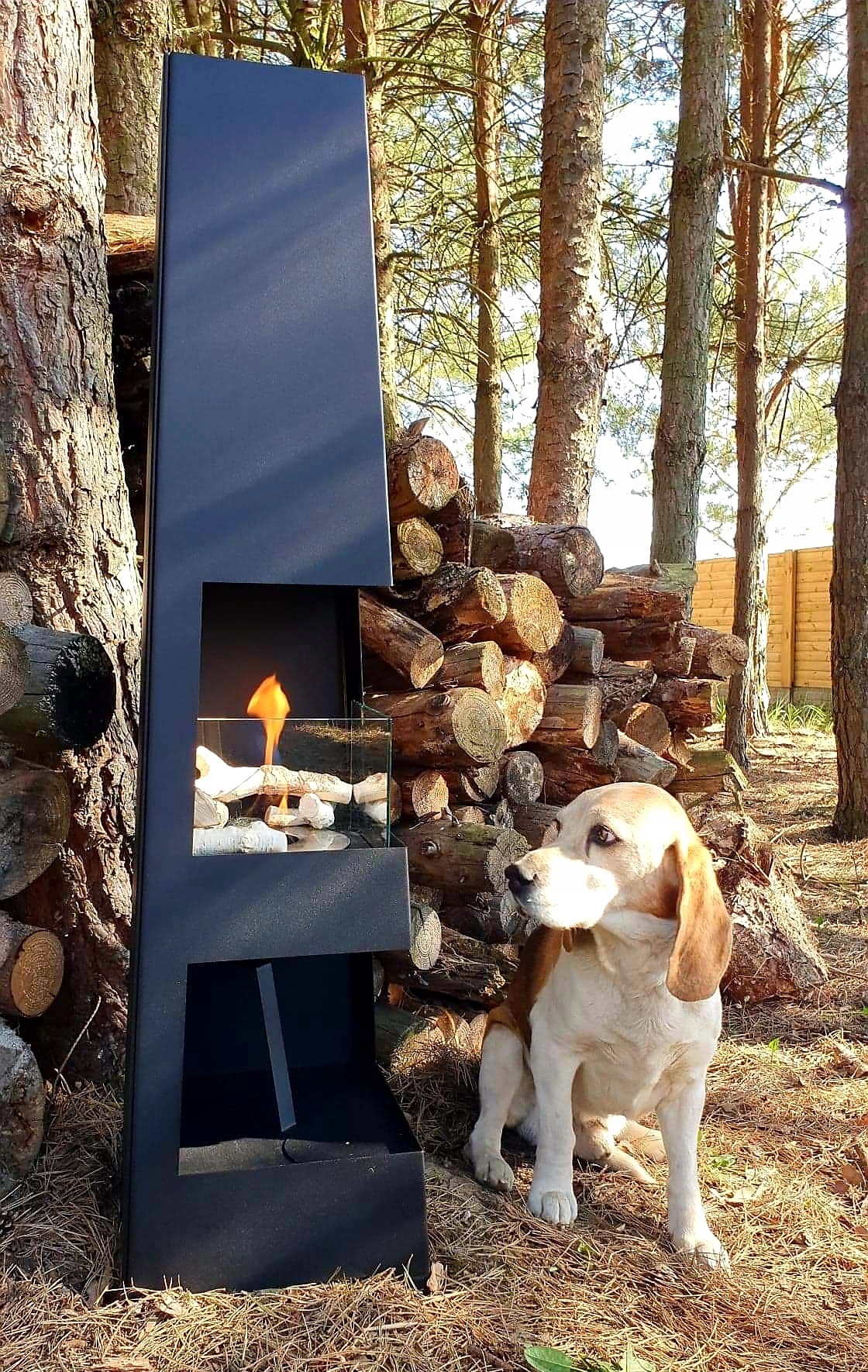 BIOKOMINEK FOREST narożny ogrodowy wolnostojący XL Rodzaj Wolnostojące