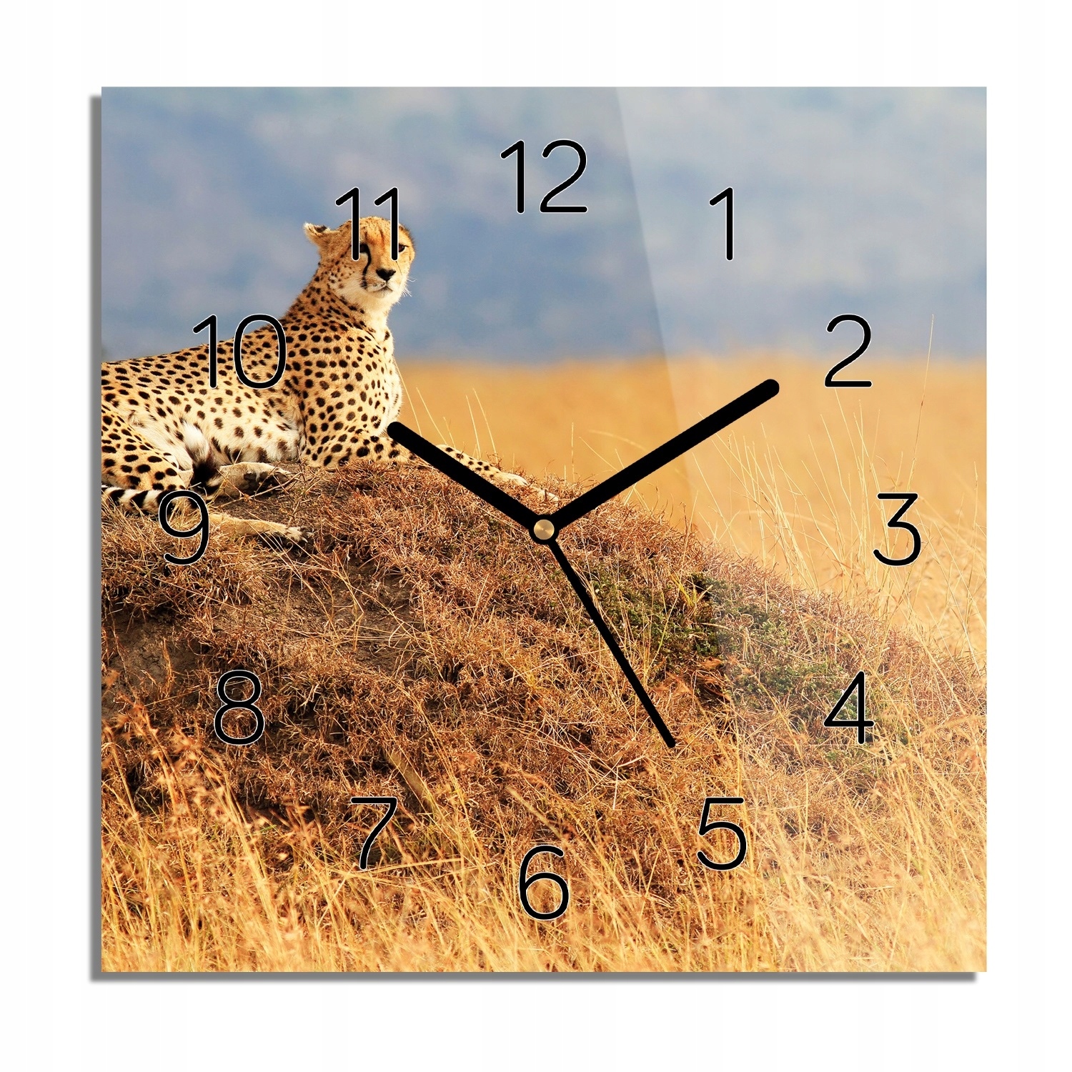 

Gepard sawanna zegar na szkle kwadratowy 30x30