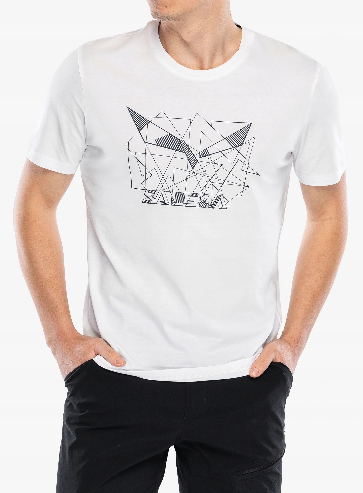 Tričko s potiskem Salewa Eagle Geometric T-Shirt optická bílá XL