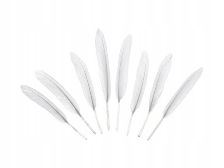 

Piórka Dekoracyjne Białe 8SZT. 10-16 CM