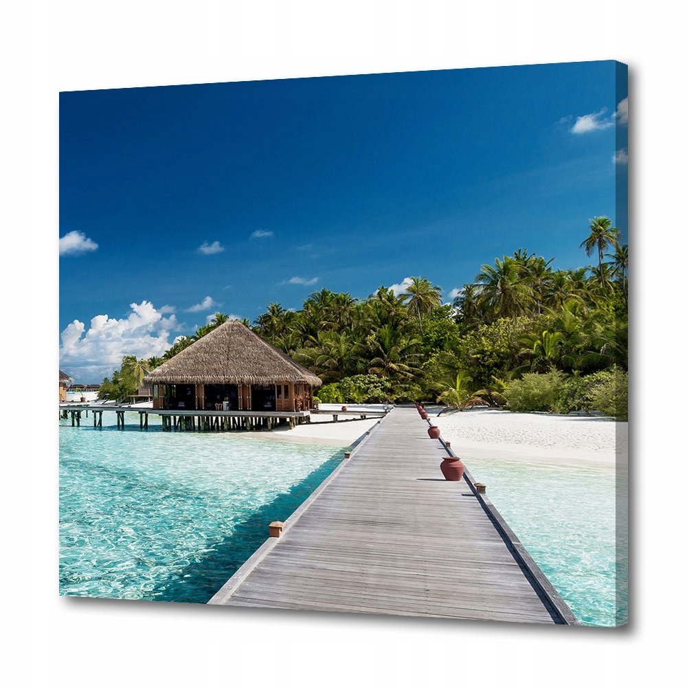 

Foto obraz do salonu Plaża Malediwy 40x40