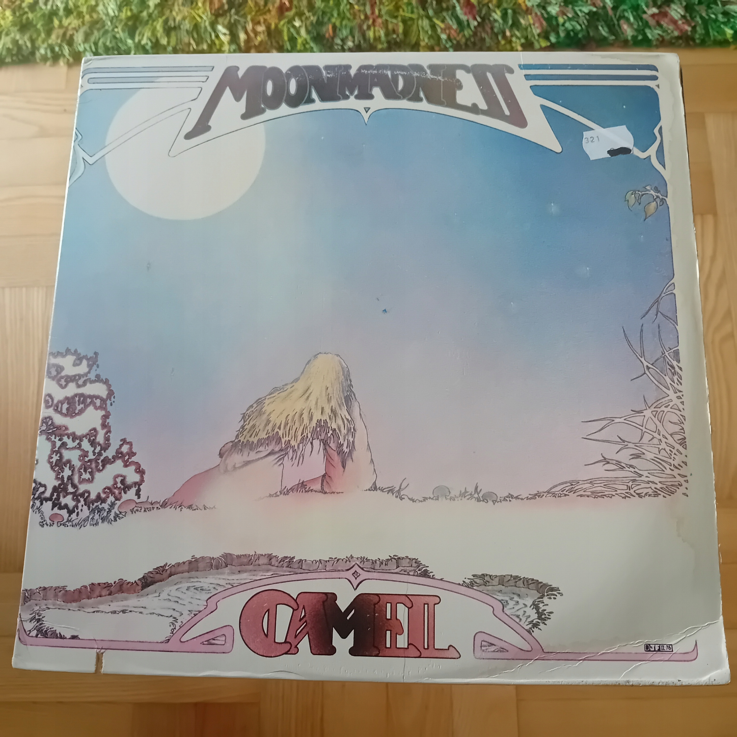 Camel Moonmadness - Muzyka - Allegro.pl