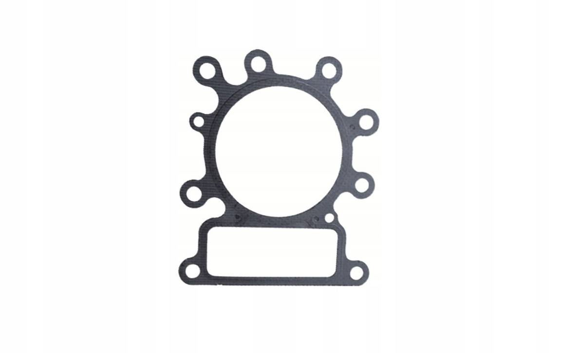 USZCZELKA GŁOWICY BRIGGS STRATTON INTEK 273280S