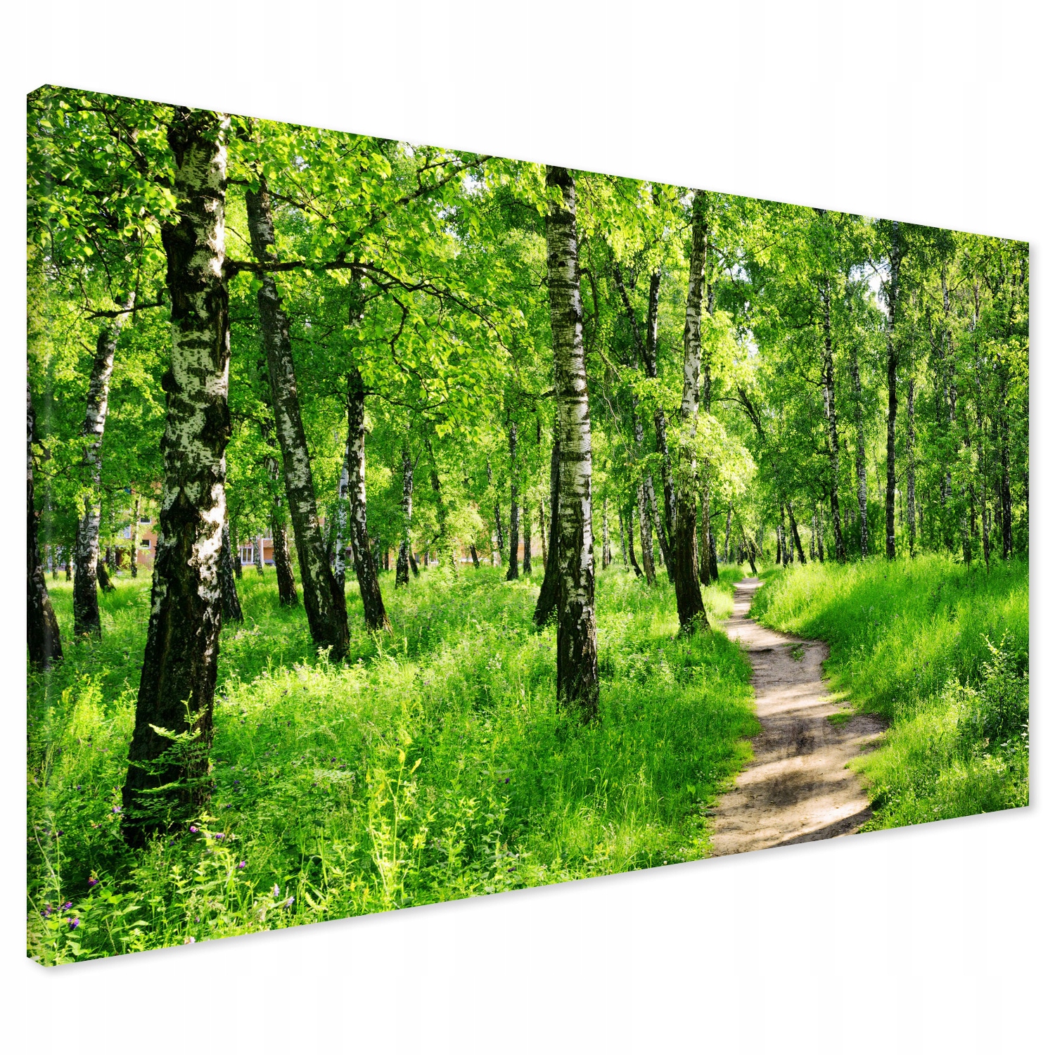 Obraz na płótnie 120x80 Las Drzewa Nowoczesny XXL Canvas do Salonu Premium