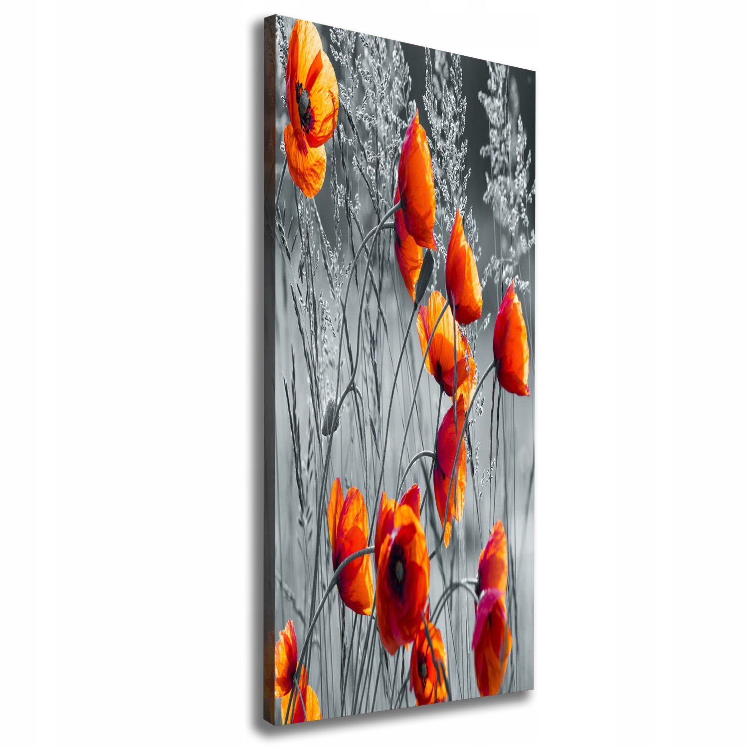 

Foto obraz na płótnie do salonu Polne maki 50x125
