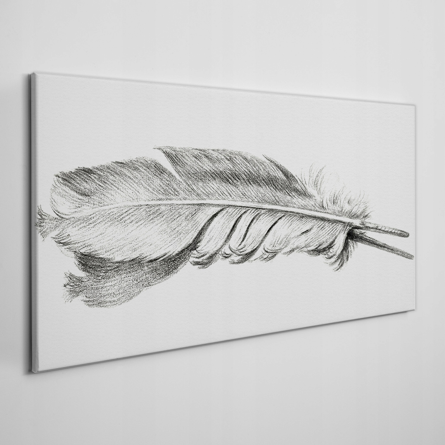 

Obraz na ścianę do salony płótno Pióro 140x70 cm