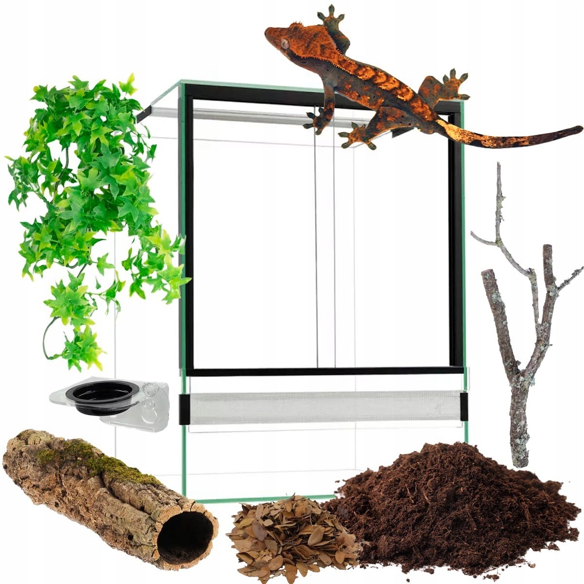 Zestaw Mini dla Gekona Orzęsionego