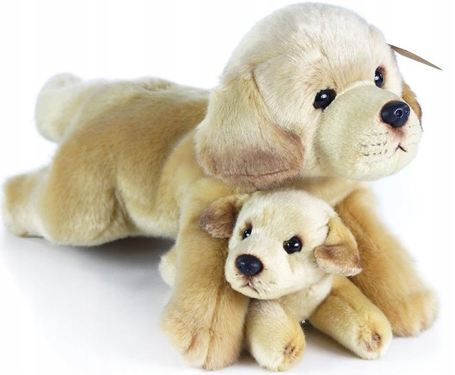 

Labrador Maskotka Realistyczna 37cm Pies Szczeniak