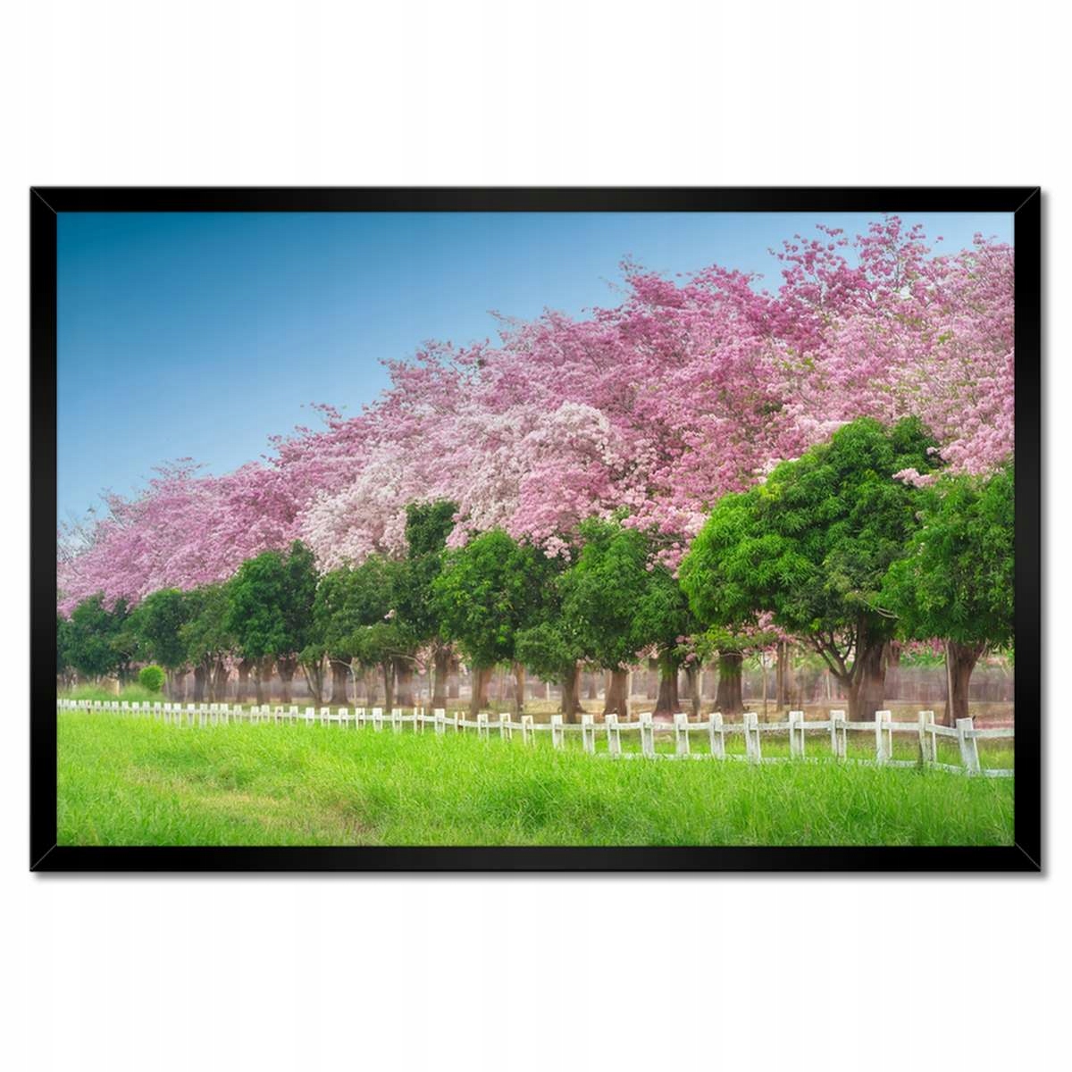 Plakáty v rámu 60x40 Třešňová krajina