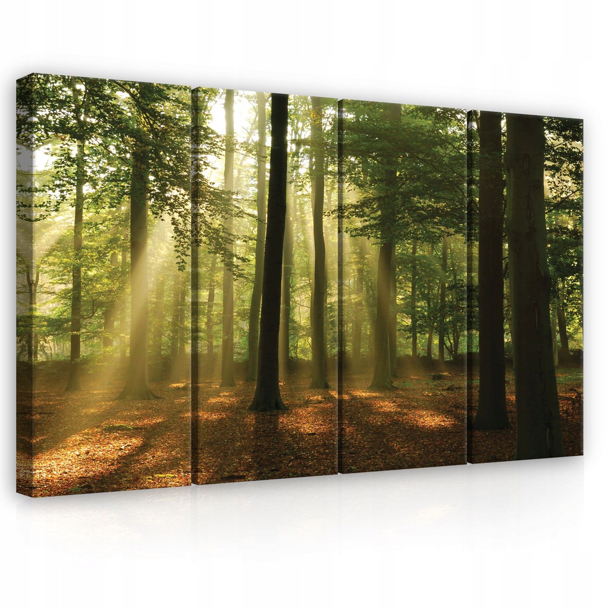 Obraz 120x80 Les slnečné lúče hmla pokoj harmónia príroda