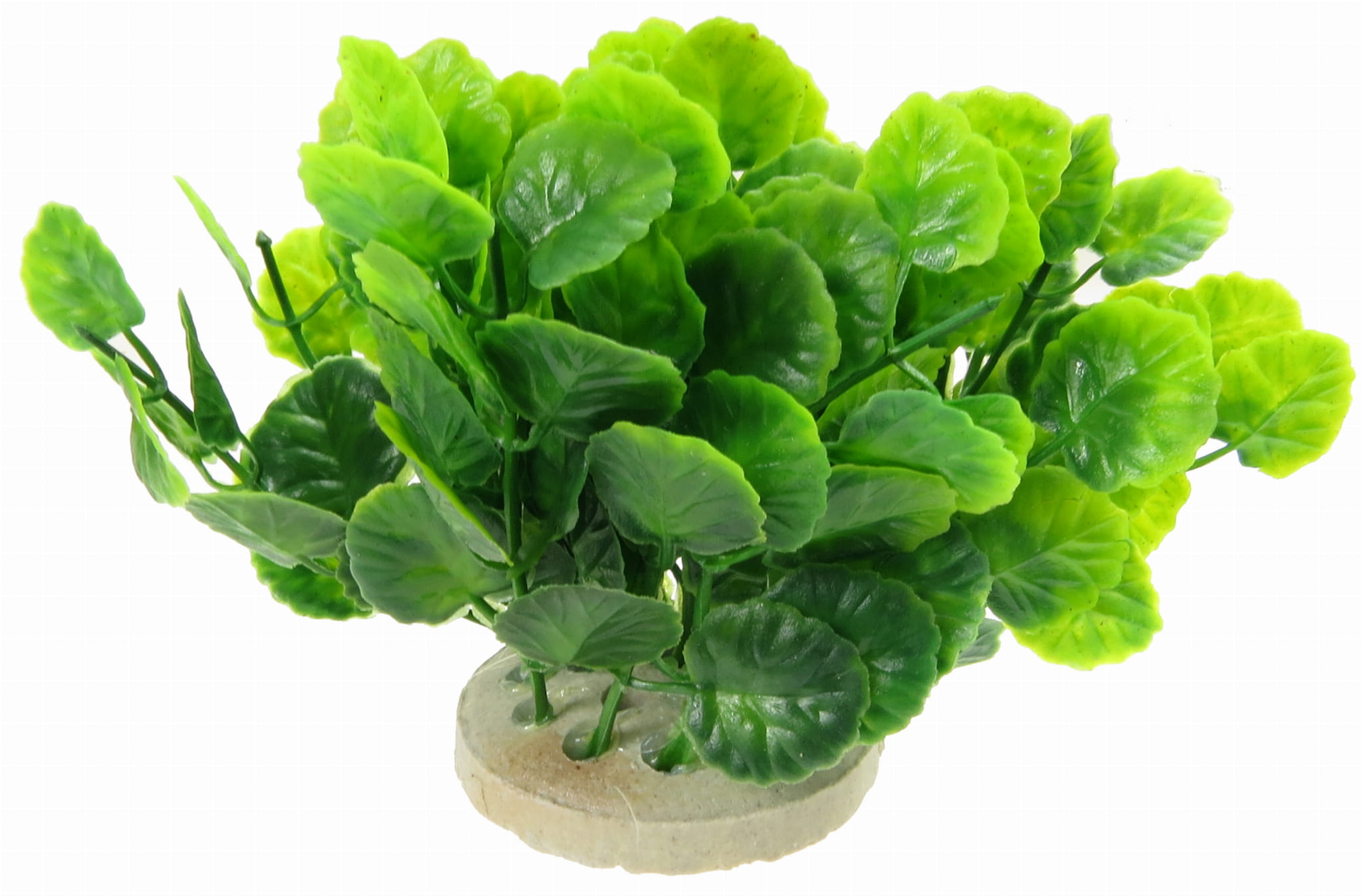 

Roślinka Sztuczna Do Akwarium 10cm Dekoracja 1f01