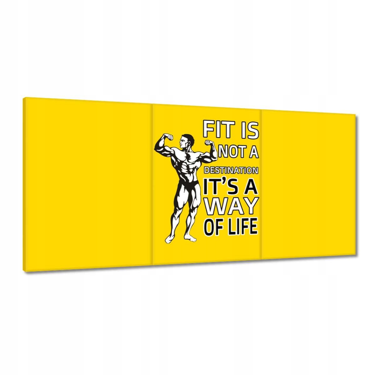 Obrazy 180x90 Fit sú vhodné pre život Gym