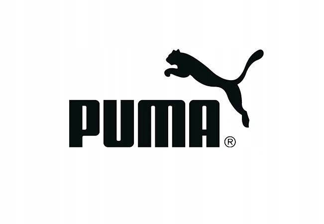 Skarpetki PUMA 6-PAK stopki białe Rozmiar 39/42 Sportowe Markowe 6sz Model 887497 02
