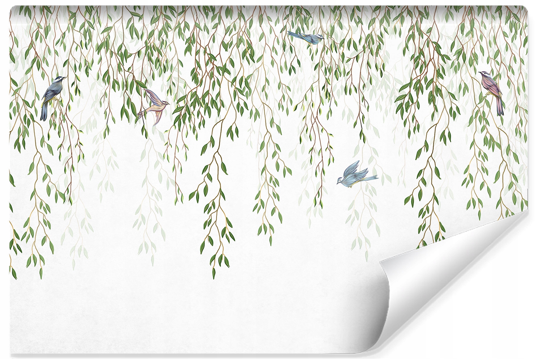 

Fototapeta Gałązki Liście Rośliny Ptaki 360x240