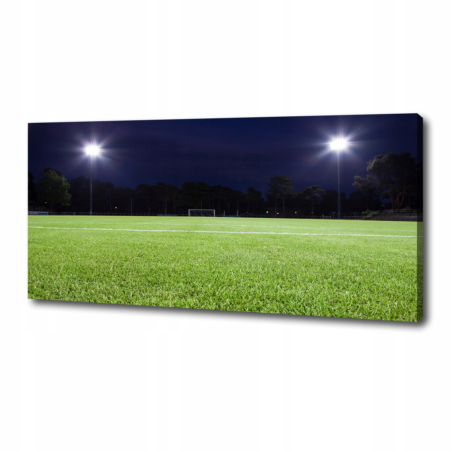 

Foto obraz na płótnie Murawa piłkarska 125x50 cm