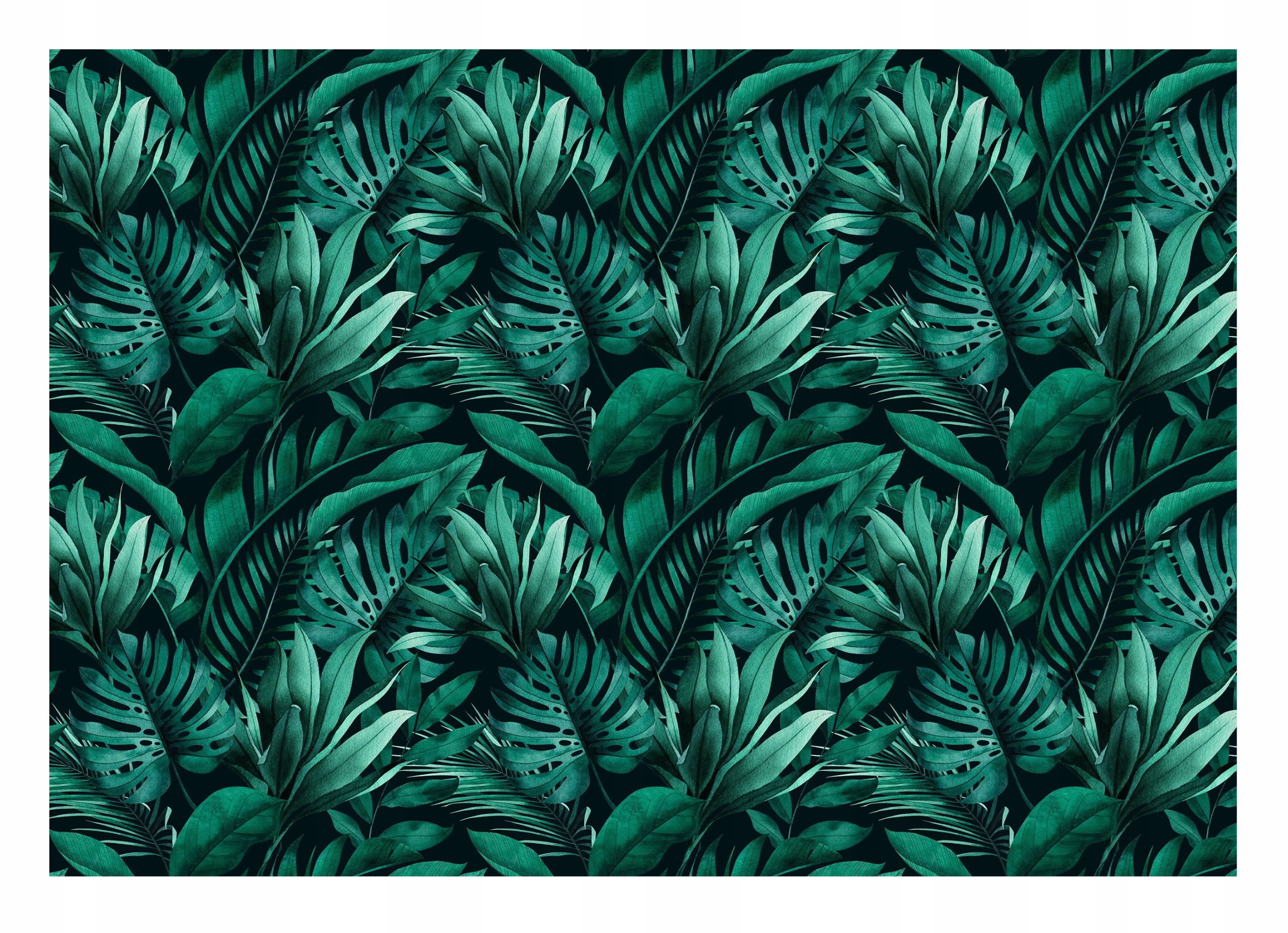 Fototapeta Listy Zelené Rastliny Príroda 416x254