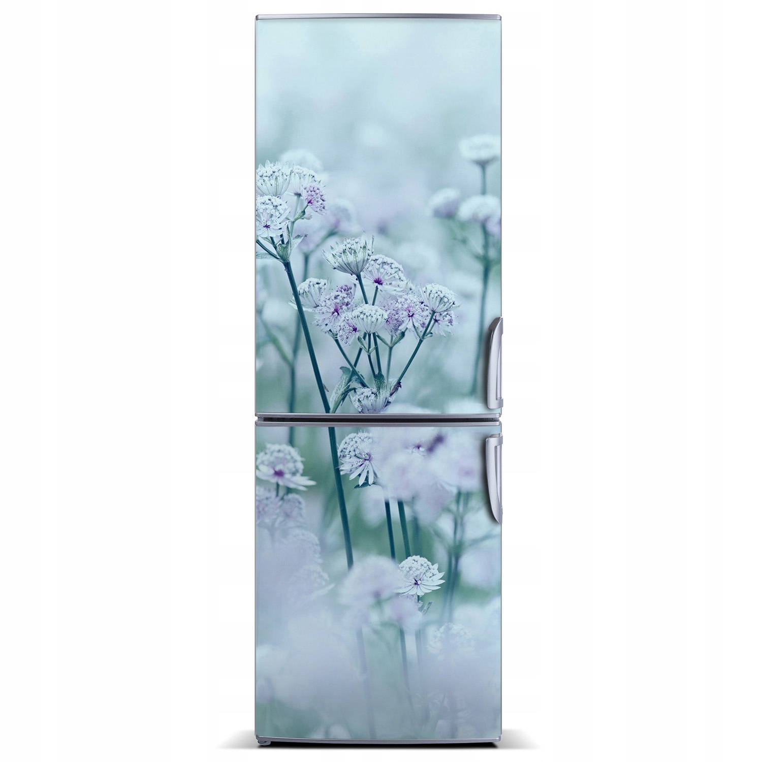 

Naklejka magnetyczna Magnes Jarzmianka 60x180