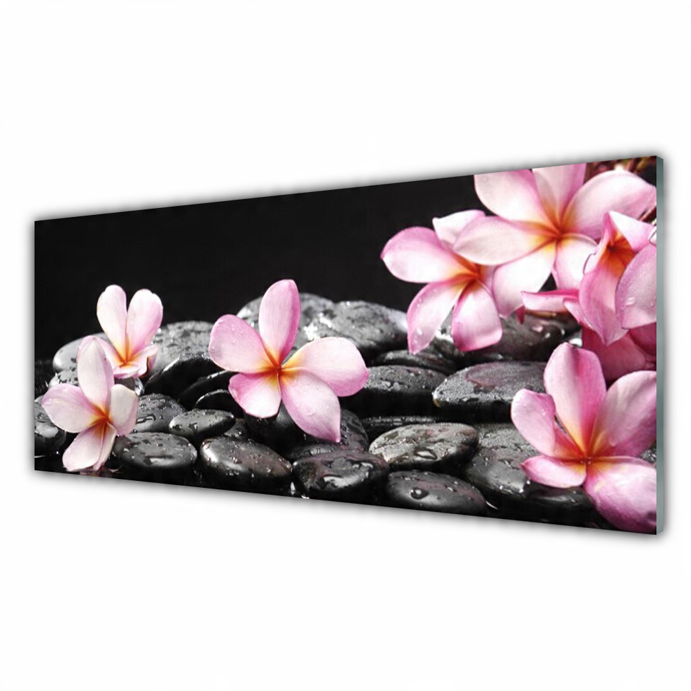 

Obraz na prezent 125x50 Kwiat Plumeria na Ścianę