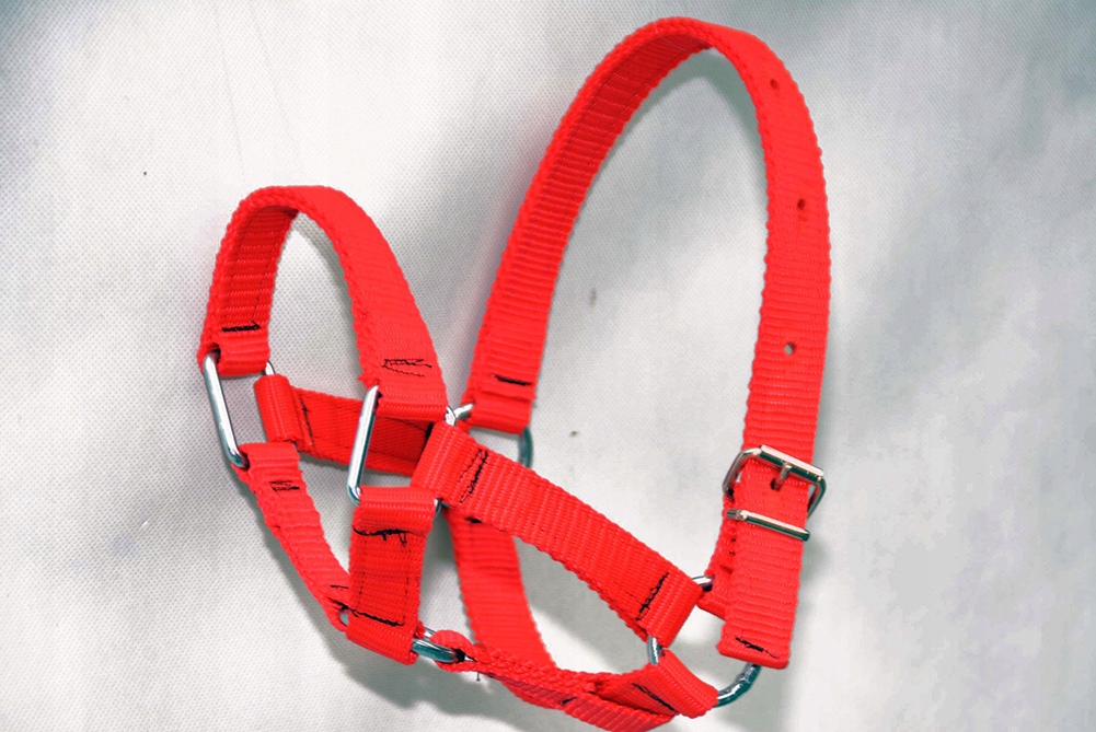 KANTAR NA MINI KUCA Z TAŚMY PARCIANEJ-MOCNY Rodzaj nachrapnika inny