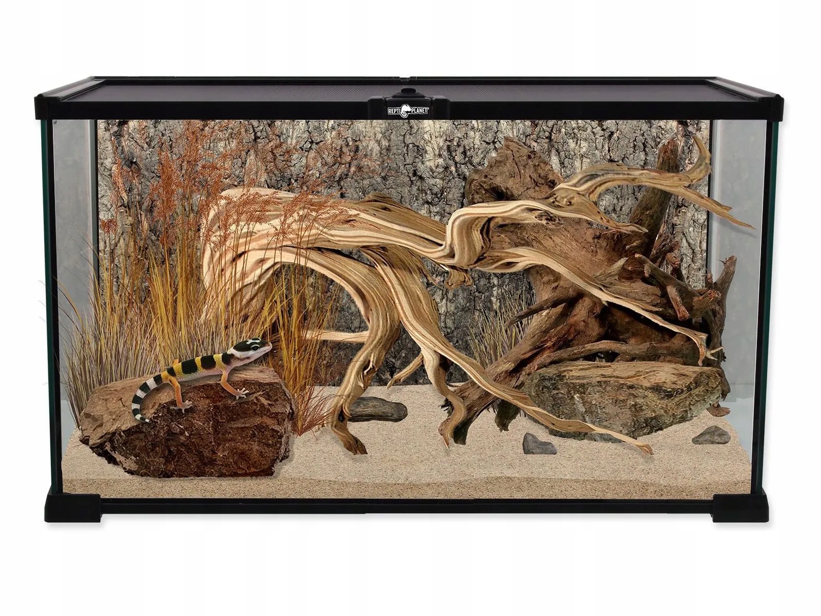 Terrarium szklane dla pająka, gekona, weża 50,5x30,5x25cm Repti Planet