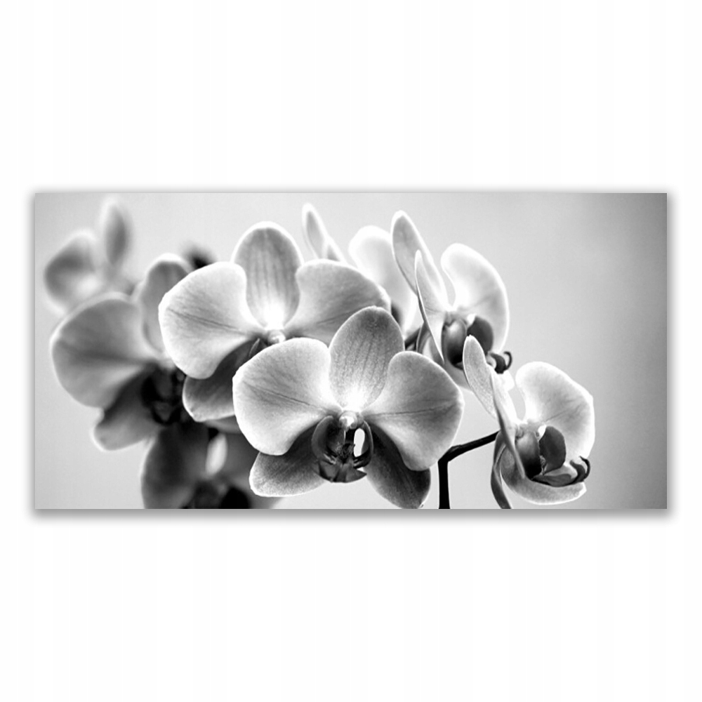 

Obraz akryl z grafiką 120x60 Kwiaty Roślina Natura