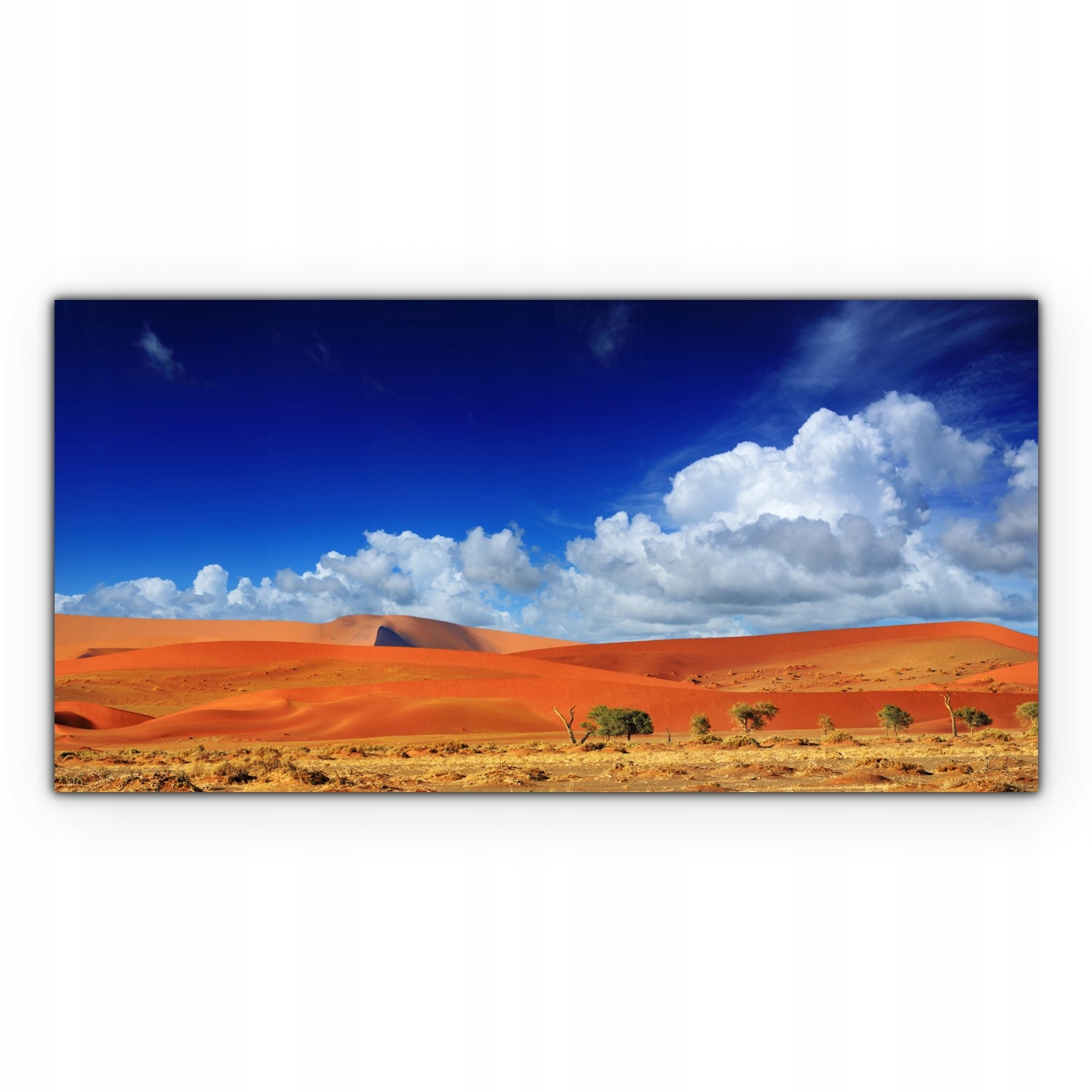 

foto-obraz na płótnie 140x70 Afryka Pustynia Wydmy