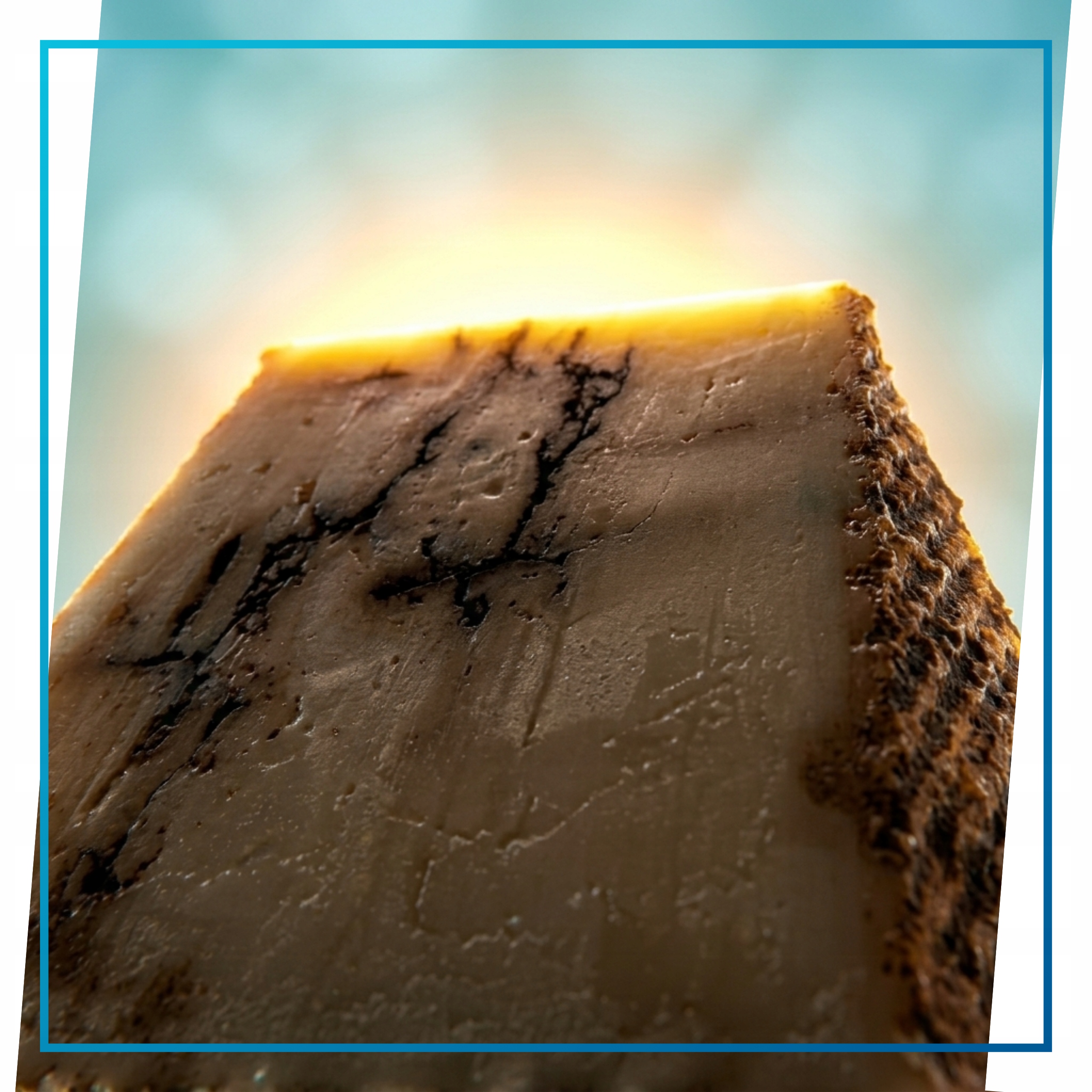 Hiszpański Ser Oveja Curado Owczy Czarny Czosnek 300g Flomaro