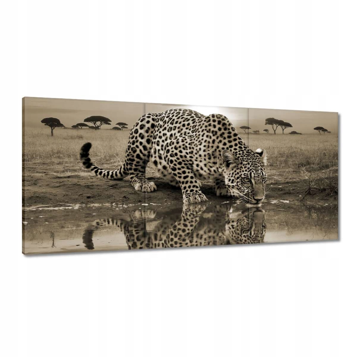 Obrazy 210x100 Gepard Tiger Zvieratá Obývacia Izba