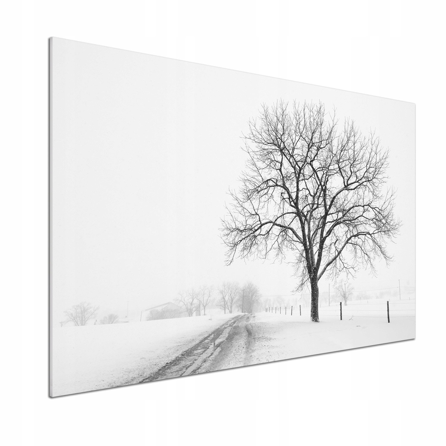 Panel dekor sklo Strom v zime 100x70 cm Lepidlo