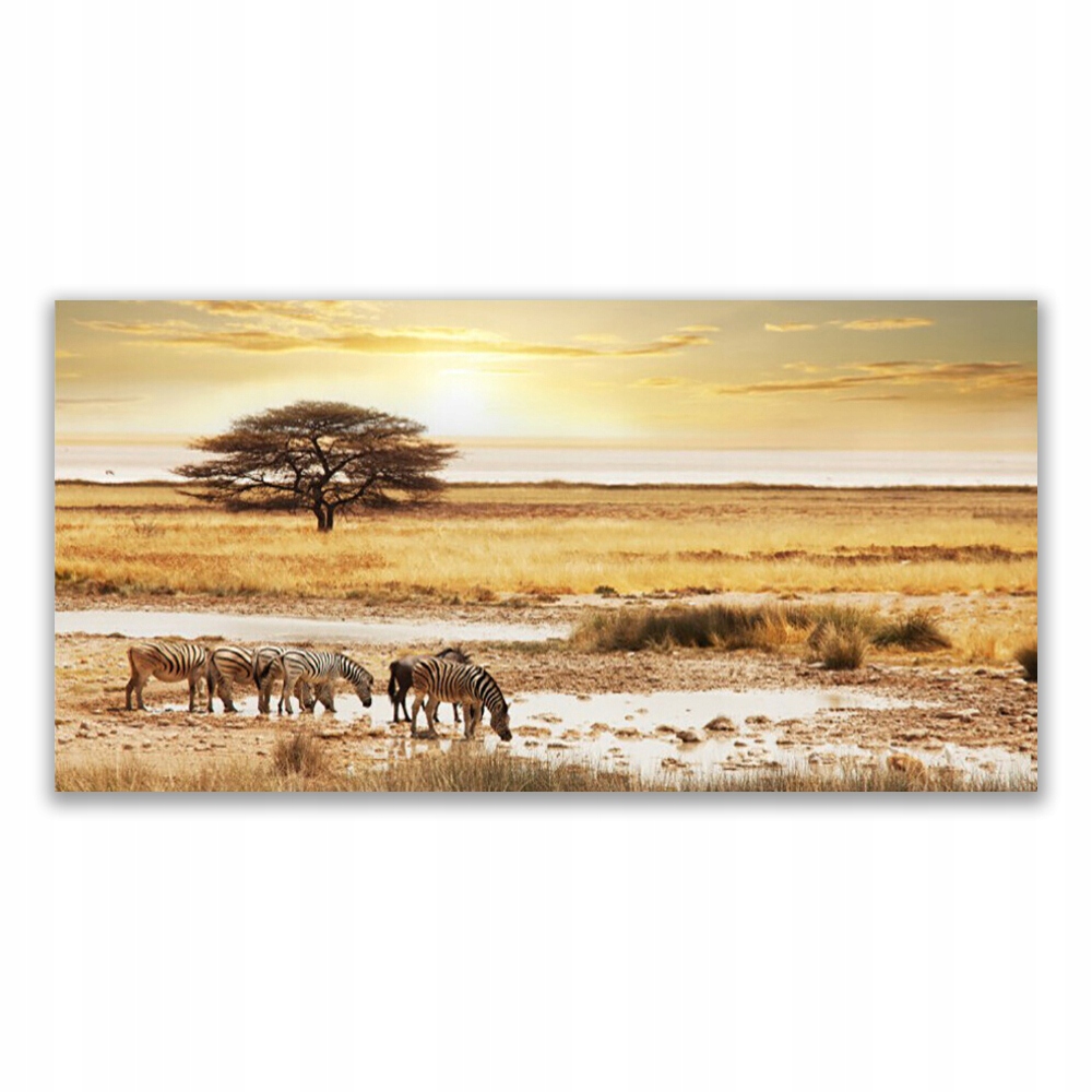 

Fotoobraz nowoczesny 120x60 Zebry Safari Krajobraz
