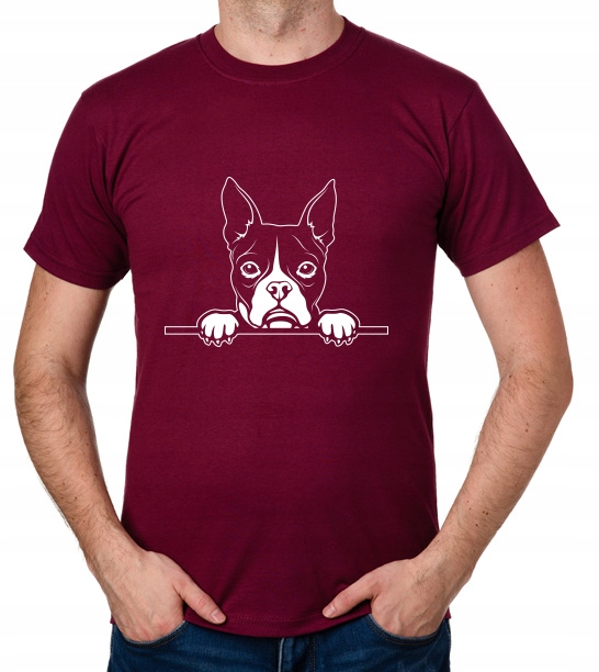 

koszulka Boston Terrier Pies Dog Piesek prezent