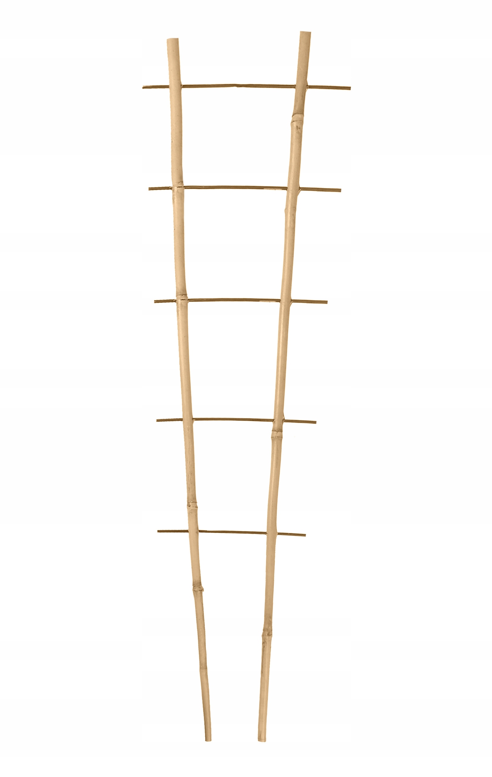 KOMPLET 10 szt. PODPORA BAMBUSOWA DRABINKA PODWÓJNA DO ROŚLIN 75 cm