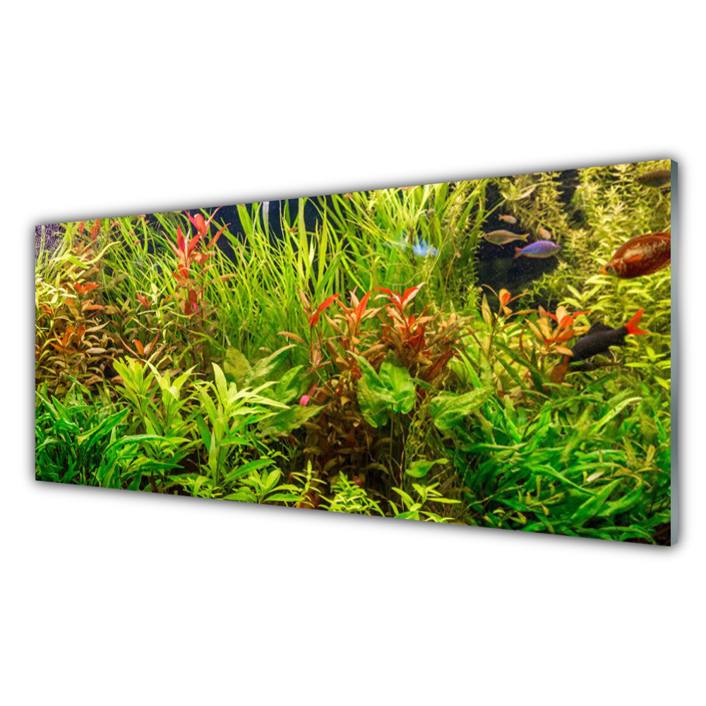 

Obraz akryl wiszący 125x50 Akwarium Rybki Rośliny