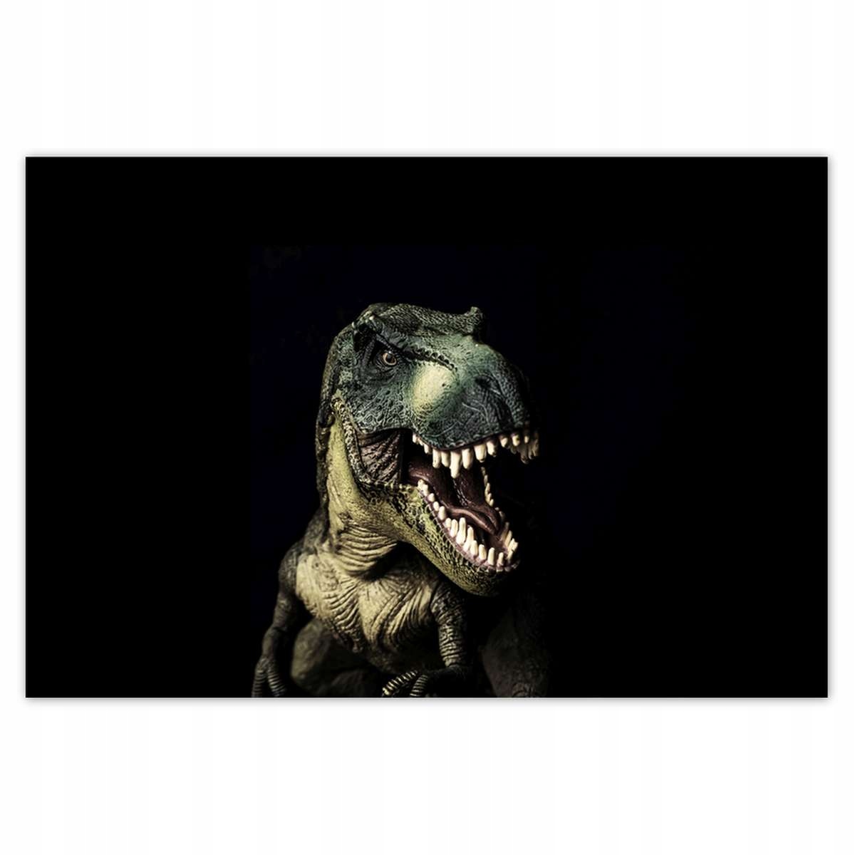 Plakáty 200x135 Tyranosaurus-t-rex černý