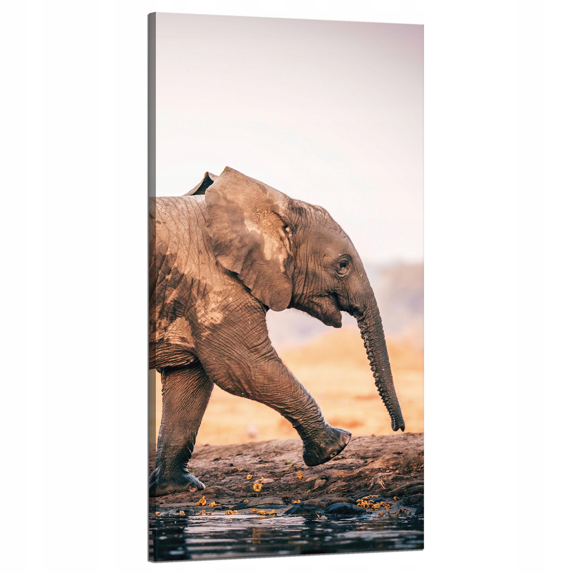 Obraz na plátně Blátivý Běžící slon Příroda 60x120 cm