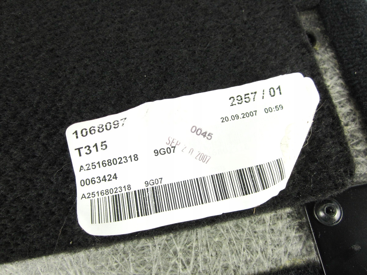 cover cover boot Mercedes W251