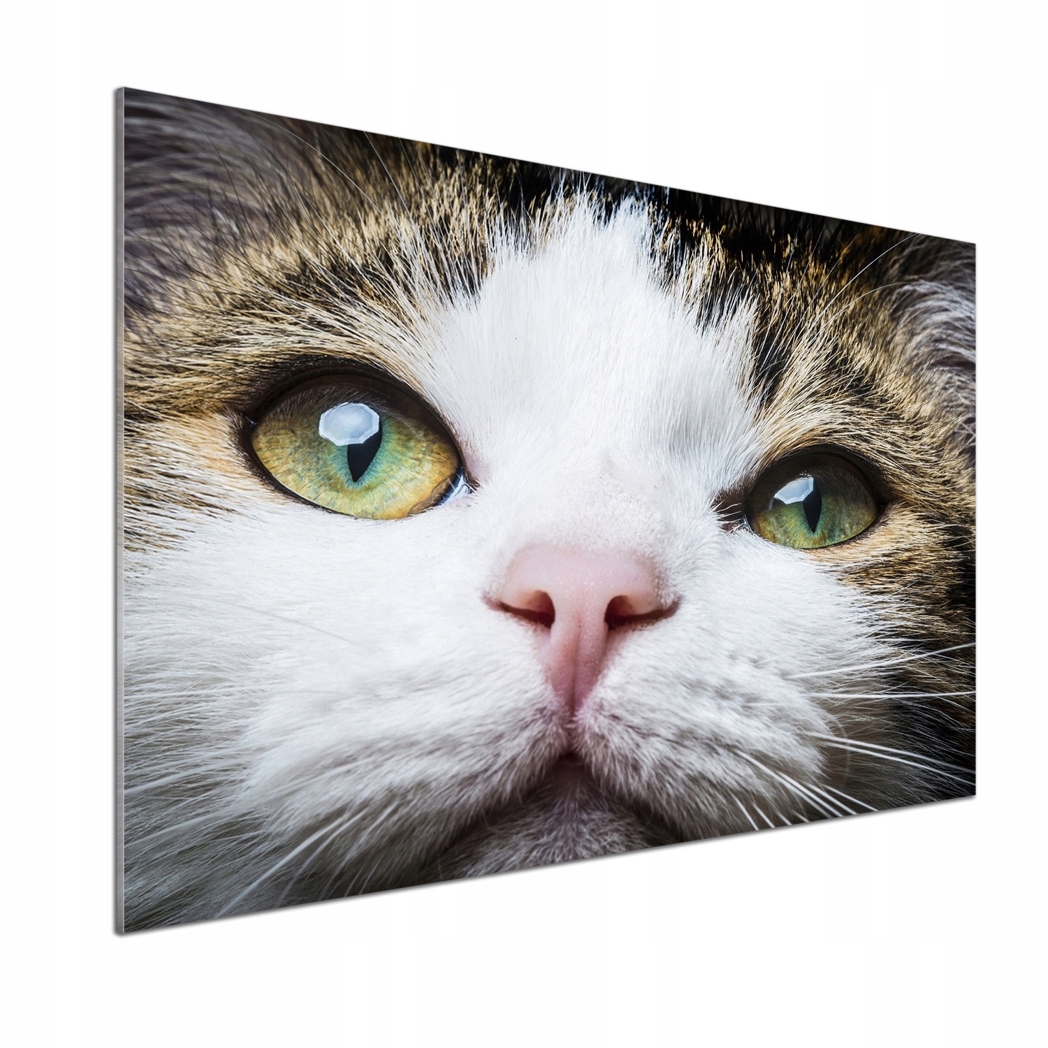 Panel do kuchyně Zelené kočičí oči 100x70 Lepidlo