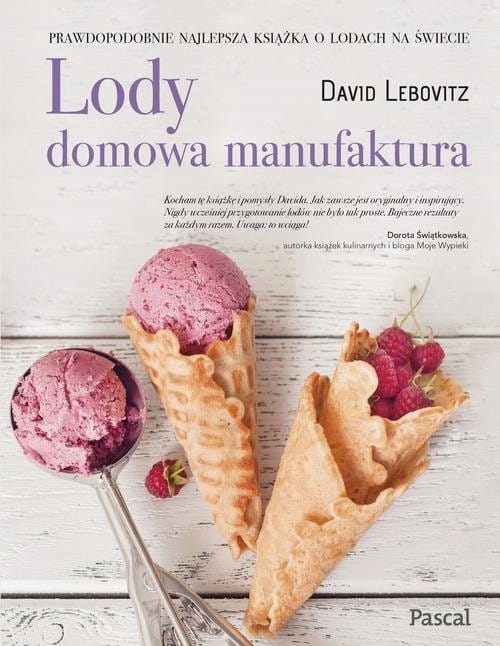 LODY DOMOWA MANUFAKTURA DAVID LEBOVITZ