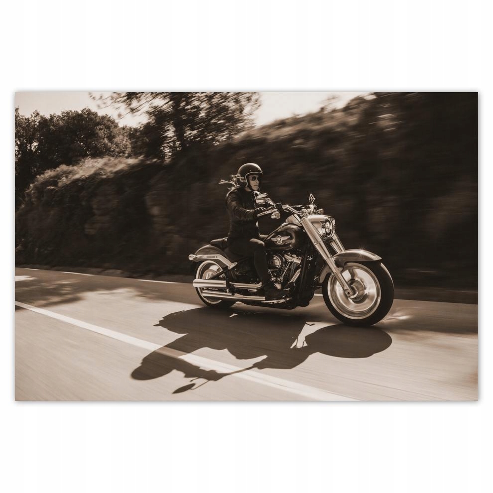 

Plakaty 60x40 Harley Davidson Motocykl