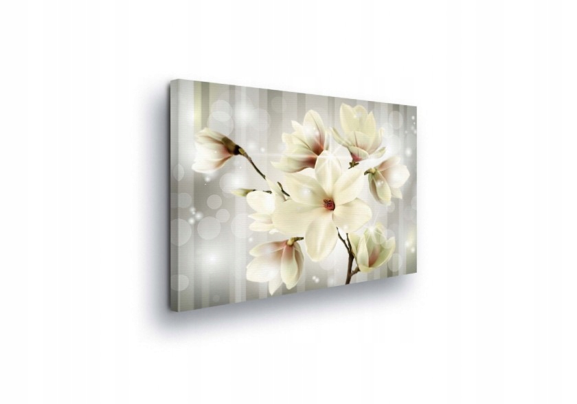 Obraz 80x60 Magnolie bílé květy jemnost svěžest jaro příroda