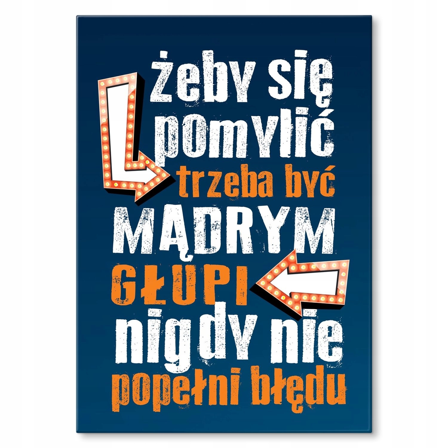Kovový plakát Hloupý neudělá chybu Dárek 42 x 59 cm