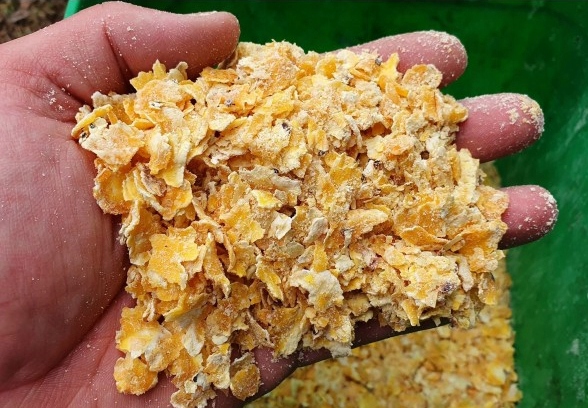 GENESIS CARP CORN CARP CRUNCH 5kg EAN (GTIN) 4901212123128