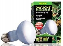 

Exo Terra Żarówka Daylight Basking Spot 50W