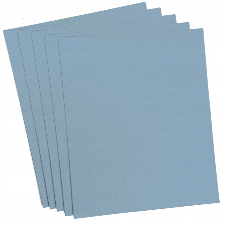 Papier Ścierny Wodny Wodoodporny Arkusz 230x280mm P2500 5 szt